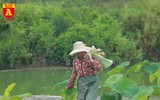 Thiếu nữ Hà thành nô nức khoe sắc cùng mùa sen nở